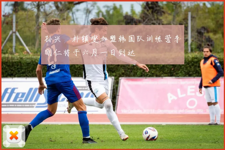 孙兴慜朴镇燮加盟韩国队训练营李刚仁将于六月一日到达